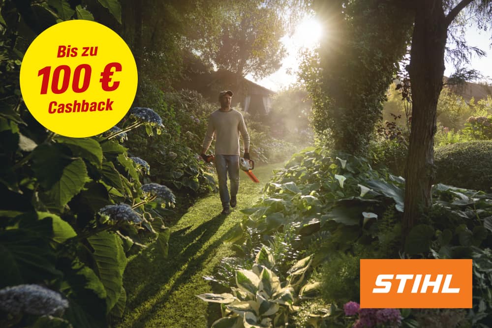 Bis zu 100 € Cashback!*